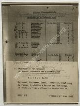 Akte 495.  OKH, Generalinspekteur der Panzertruppen: Unterlagen des Generalinspekteurs der Panzer...