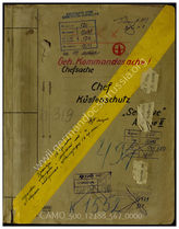 Akte 567: Unterlagen der Ia-Abteilung des AOK 16: Kriegsgliederung der 16. Armee, Armeebefehl für die Aufgaben und Gliederung ab Oktober 1940, Auswertungen für Übungen u.a.
