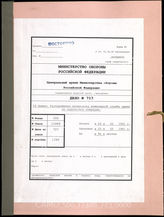 Akte 723: Unterlagen des Armeepionierführers beim AOK 16: Anlagen zu GKdos. 117/41 vom 25.2.1941 – technische Skizzen von Pioniermitteln für die Anlandung, Weisung des OKH für den Einsatz von Fähren u.a. 