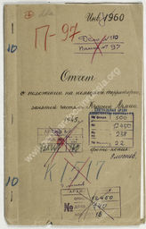 Дело 238.  Отчет Верховного командования вермахта о положении на немецкой территории, занятой войсками Красной Армии  от 20 марта 1945 г.