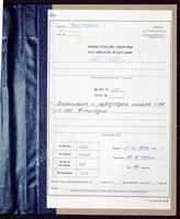 Akte 300. Materialien des deutschen Verbindungsoffiziers bei der finnischen Luftwaffe. 