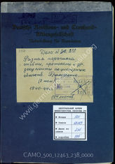 Akte 238. Bericht der deutschen Revisions- und Treuhand-Aktiengesellschaft über die beim rumänischen Betrieb "Ford Romana" S. A. R. durchgeführten Jahresabschlußprüfungen für 1942 mit dem Anhang.