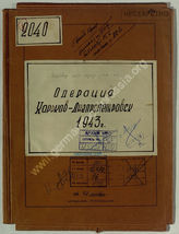 Akte 96. Übersetzte Beutedokumente (Befehle und Lageberichte) zur dritten Schlacht um Charkow (Februar-März 1943)