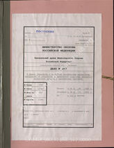 Akte 367: Unterlagen des Armeepionierführers beim AOK 9: Schriftverkehr zur pioniermäßigen Sicherstellung der Landung in England, Erfahrungsberichte zum Einsatz von Sturmbooten auf See u.a.