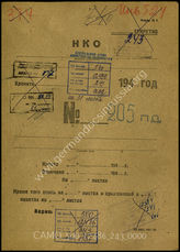 Дело 243:  Документы Разведывательного Управления Генерального штаба Красной Армии: формуляры с развединформацией 205-й пехотной дивизии, допросы военнопленных и перебежчиков и проч.