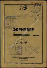 Дело 375: Документы Разведывательного Управления Генерального штаба Красной Армии: формуляры с развединформацией 11-й авиаполевой дивизии, данные о допросах военнопленных и перебежчиков